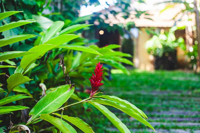 Ipê House - Morro da Luz