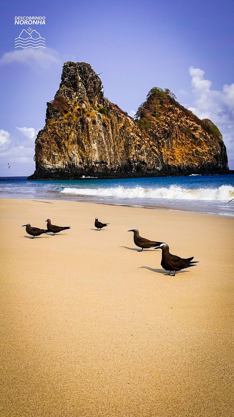Cabana Mulungu - Viagem Inspirada